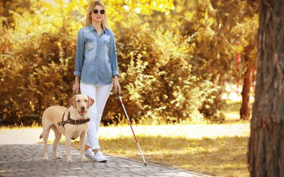 young woman walking down a sidewalk with a cane and a guide dog